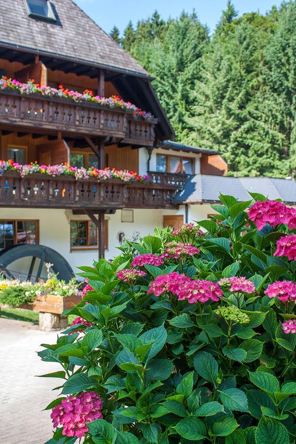 Hotel Tannenmuehle Grafenhausen Exterior foto